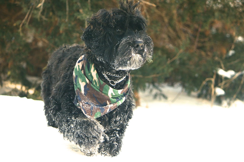 IMG_9141 - Version 2