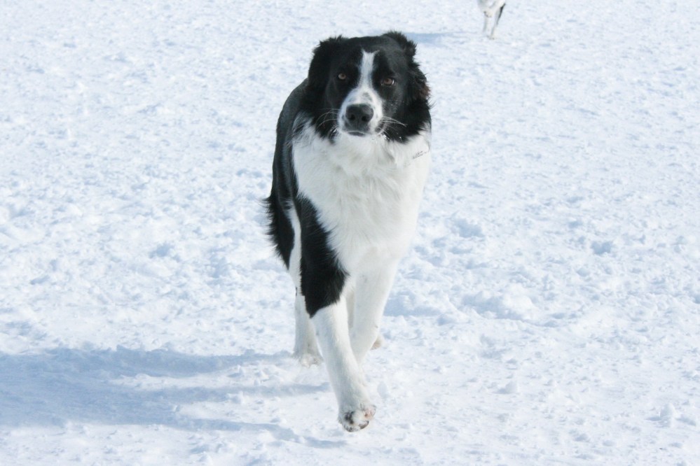 IMG_0310 - Version 2