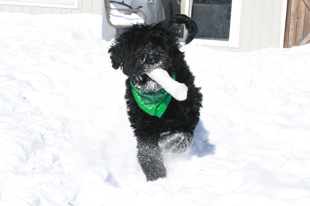 IMG_0396 - Version 2