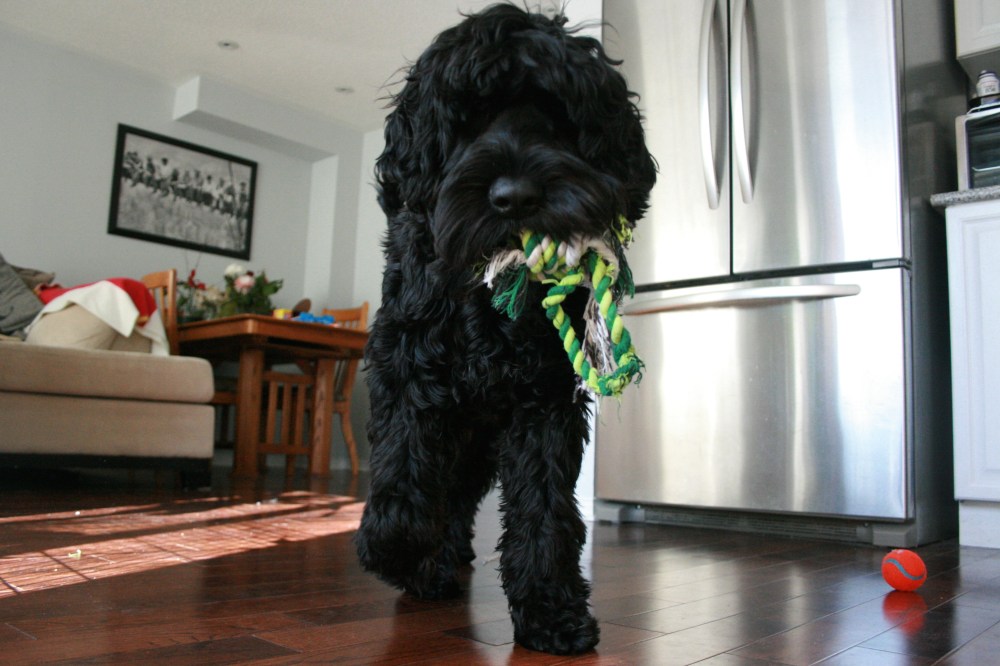 IMG_0732 - Version 2