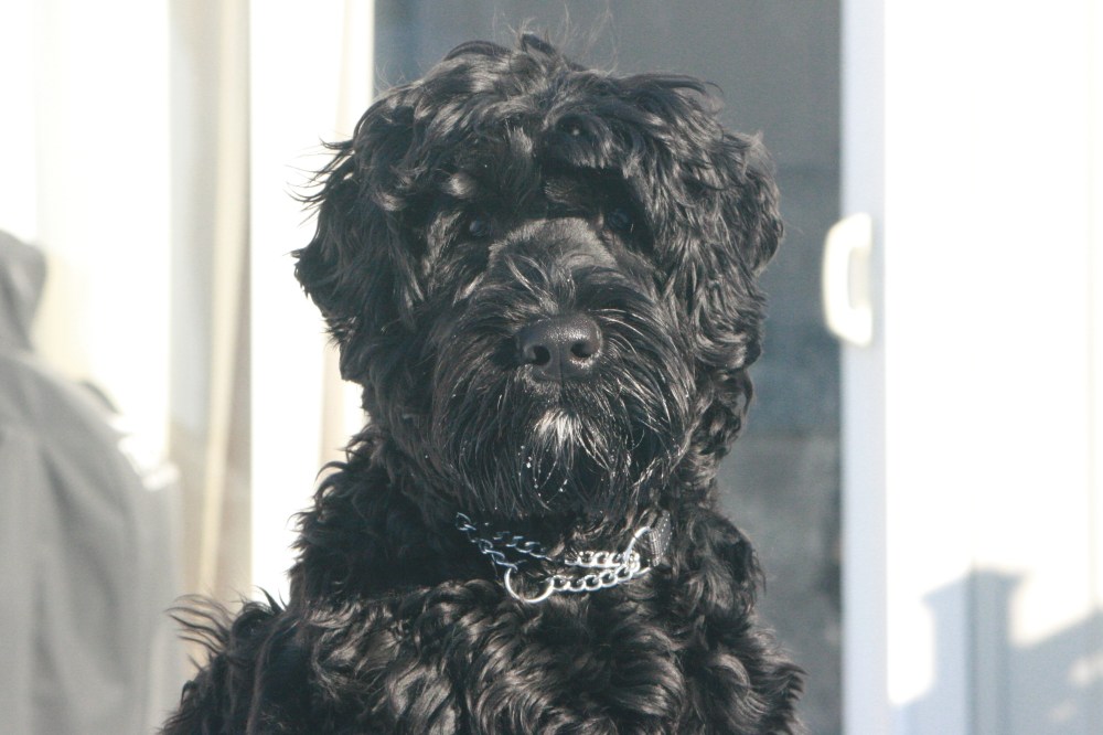 IMG_0926 - Version 2