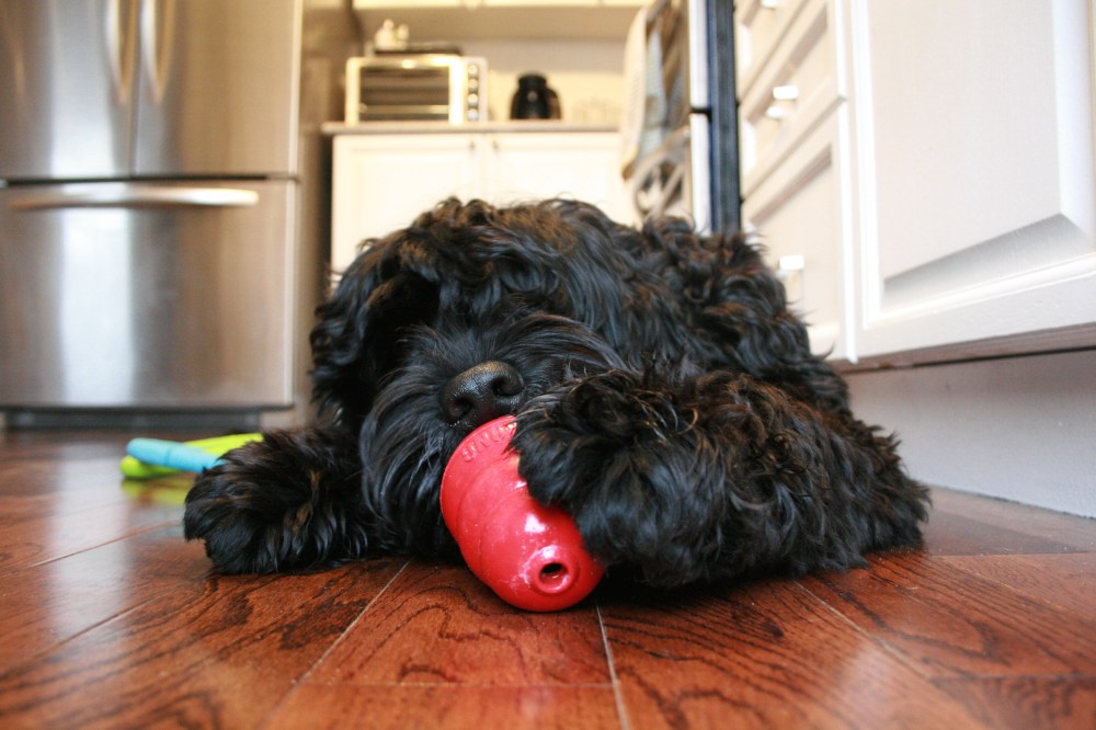 IMG_1451 - Version 2