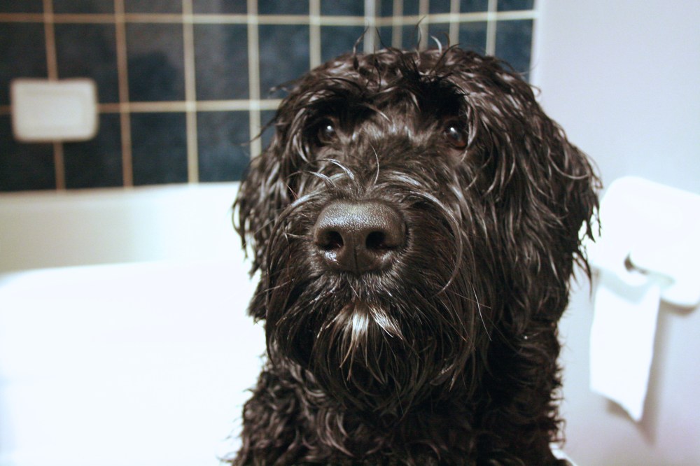 IMG_1666 - Version 3