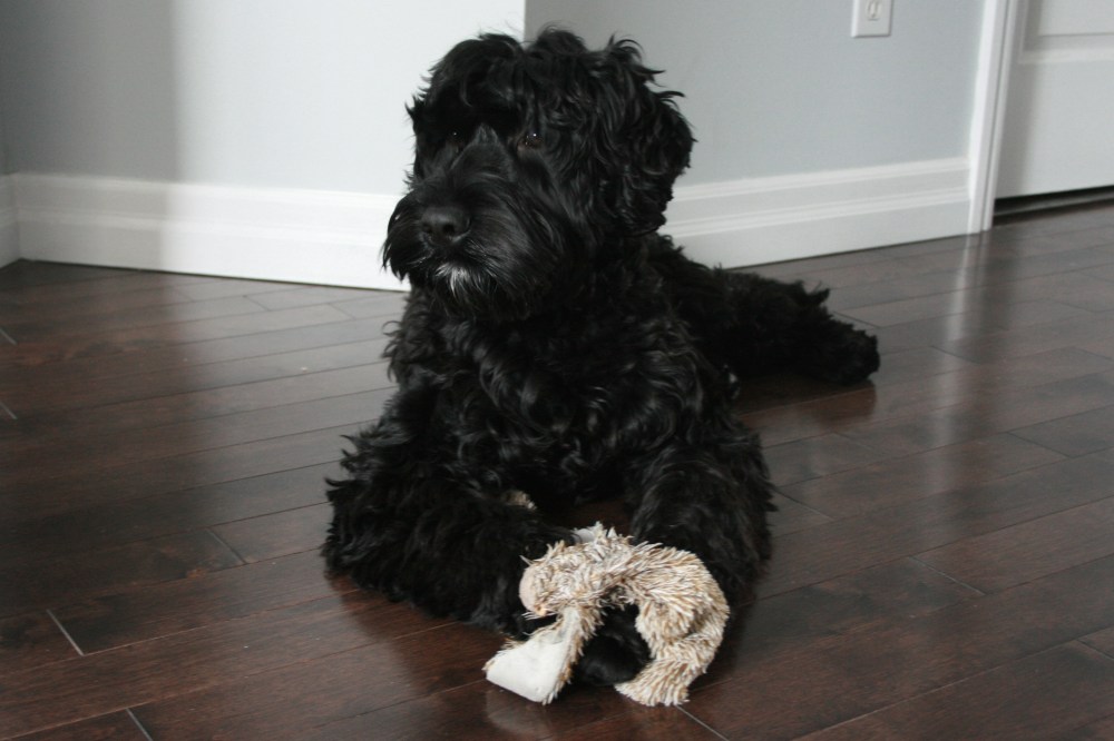 IMG_9480 - Version 2