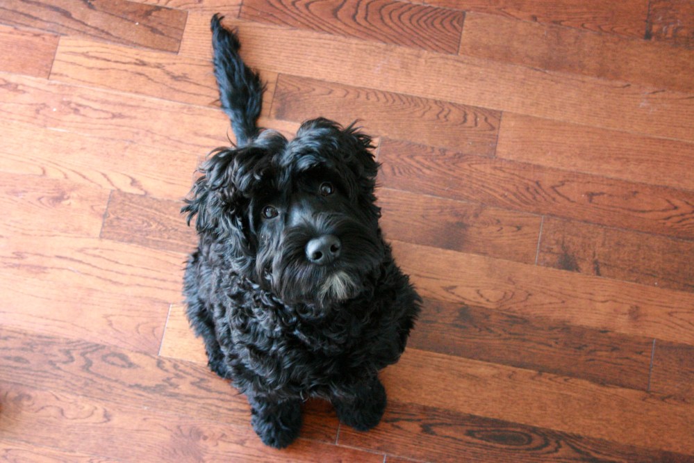 IMG_9797 - Version 4