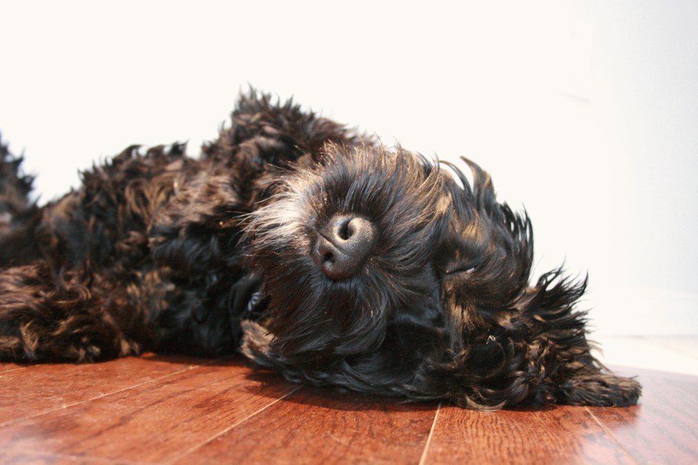 IMG_9986 - Version 2