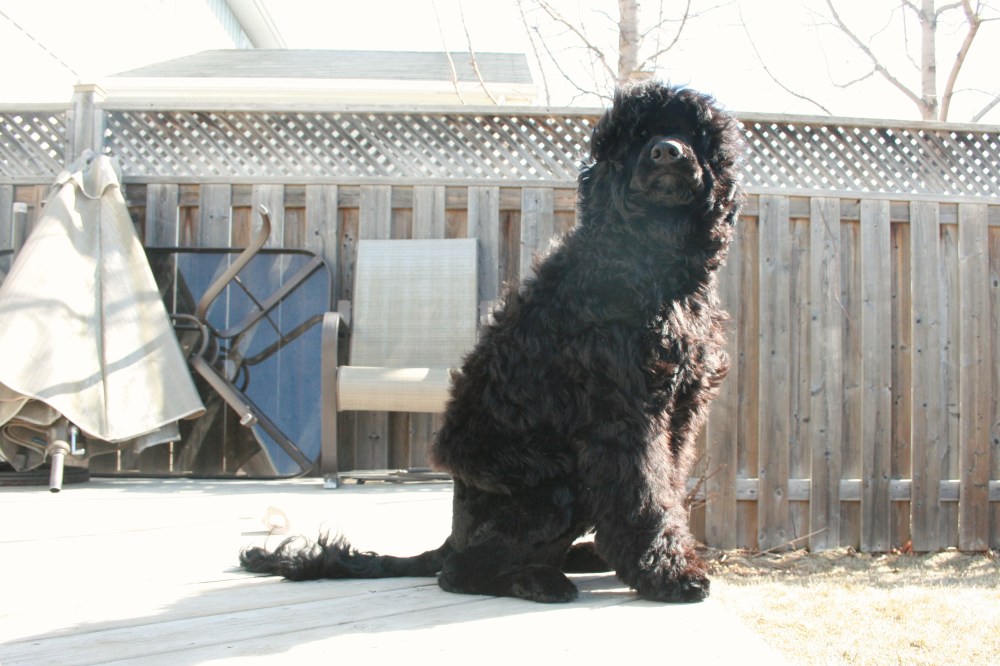 IMG_1753 - Version 2