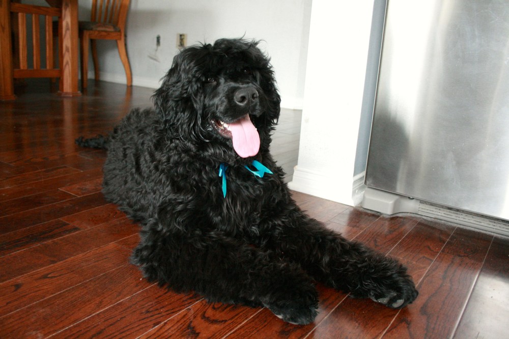 IMG_1916 - Version 2