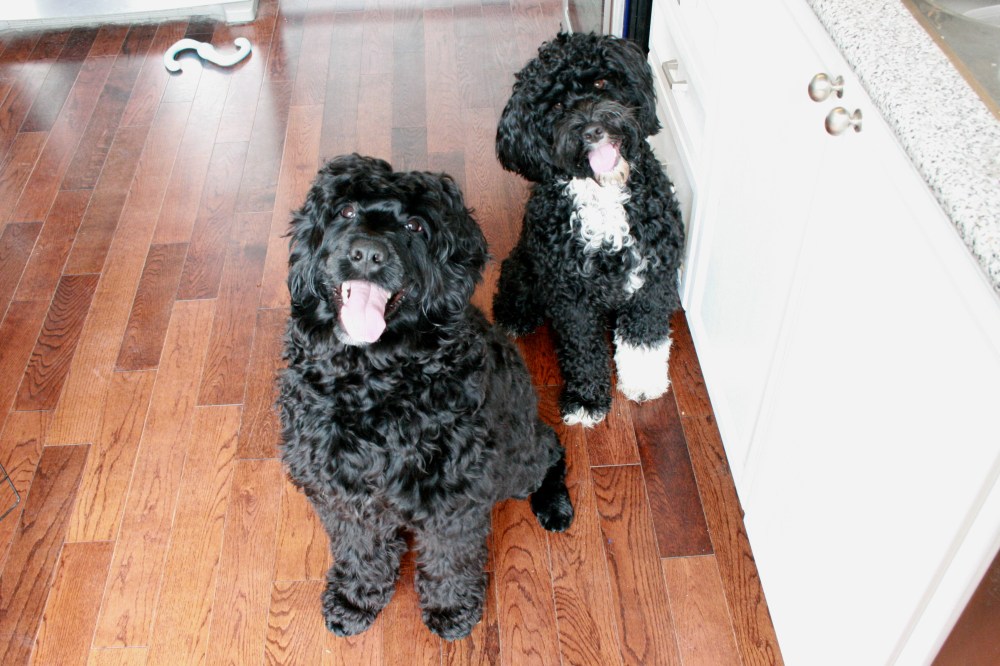 IMG_2194 - Version 2